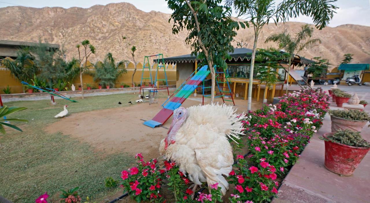 Serene Aravali Resort, Pushkar Exterior foto